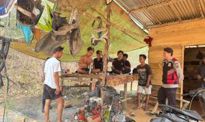 IMG-20261016-WA0017
